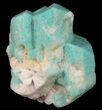 Amazonite Crystal Cluster - Park County, Colorado #52370-1